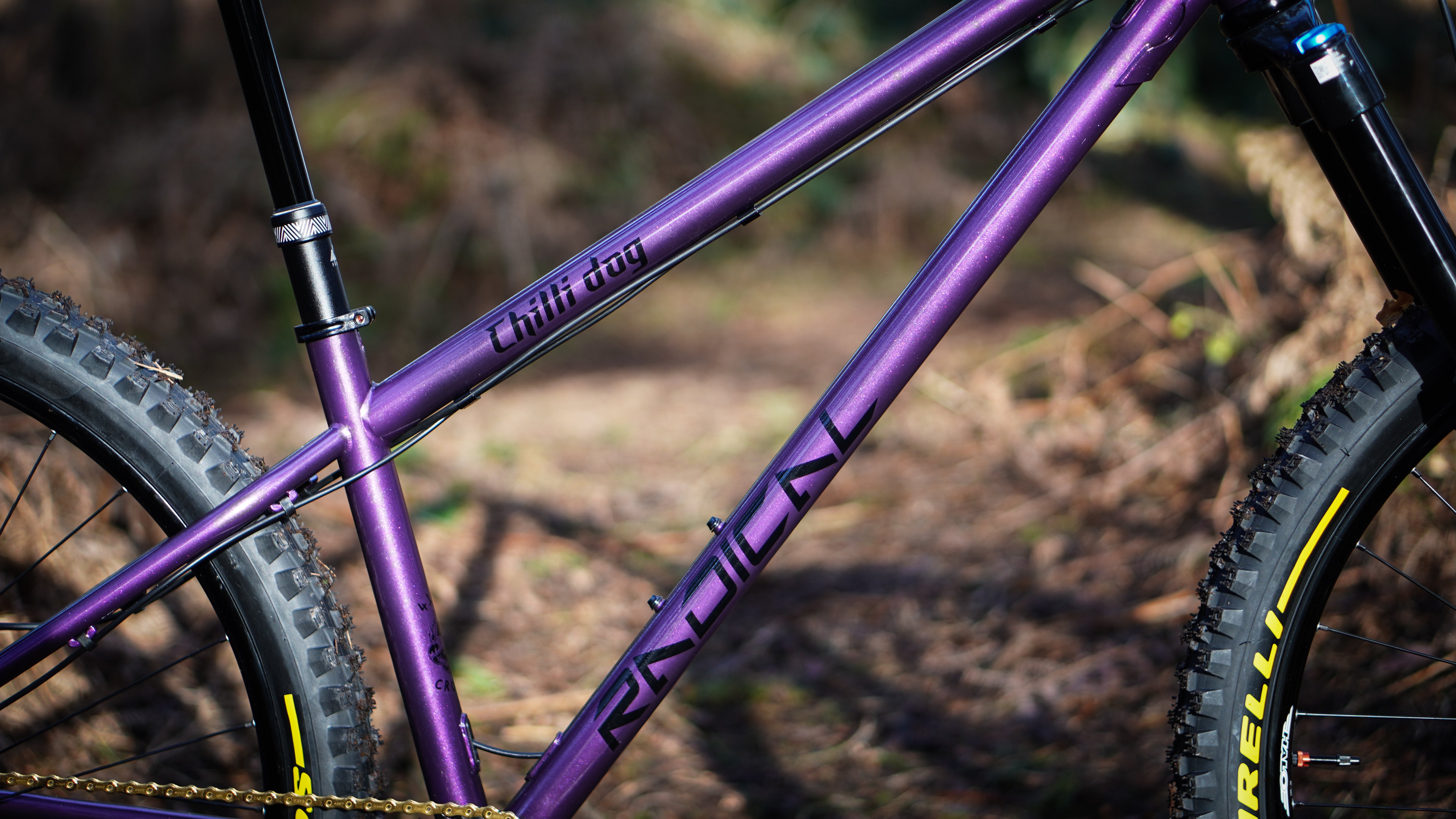 Radical Bicycle Co Chilli Dog 290 Hardcore Hardtail Frame