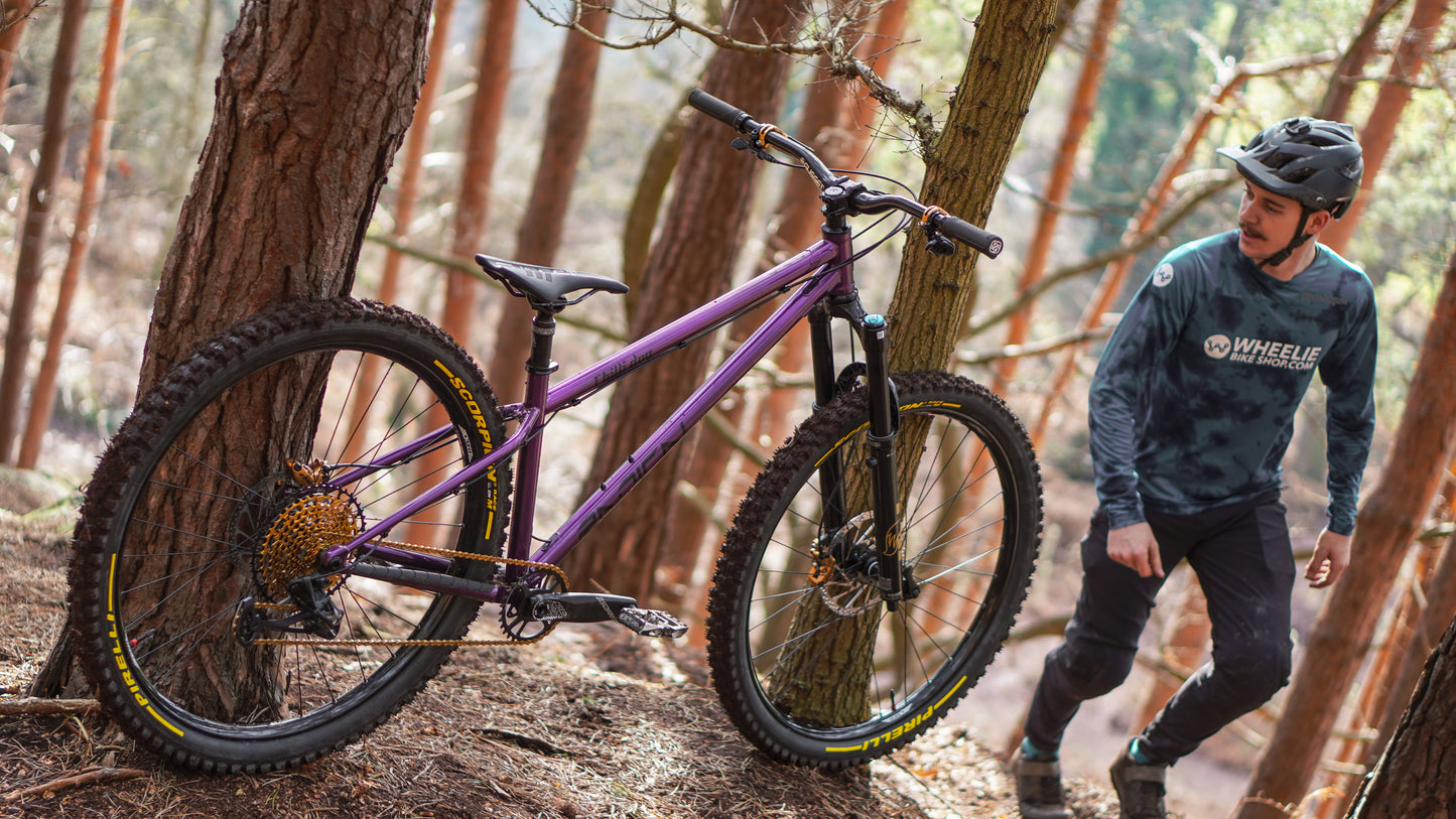 Chilli Dog (Steel) - Enduro - Frame Only