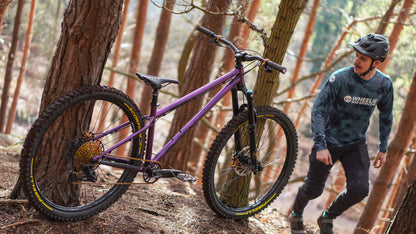 Chilli Dog (Steel) - Enduro - Frame Only