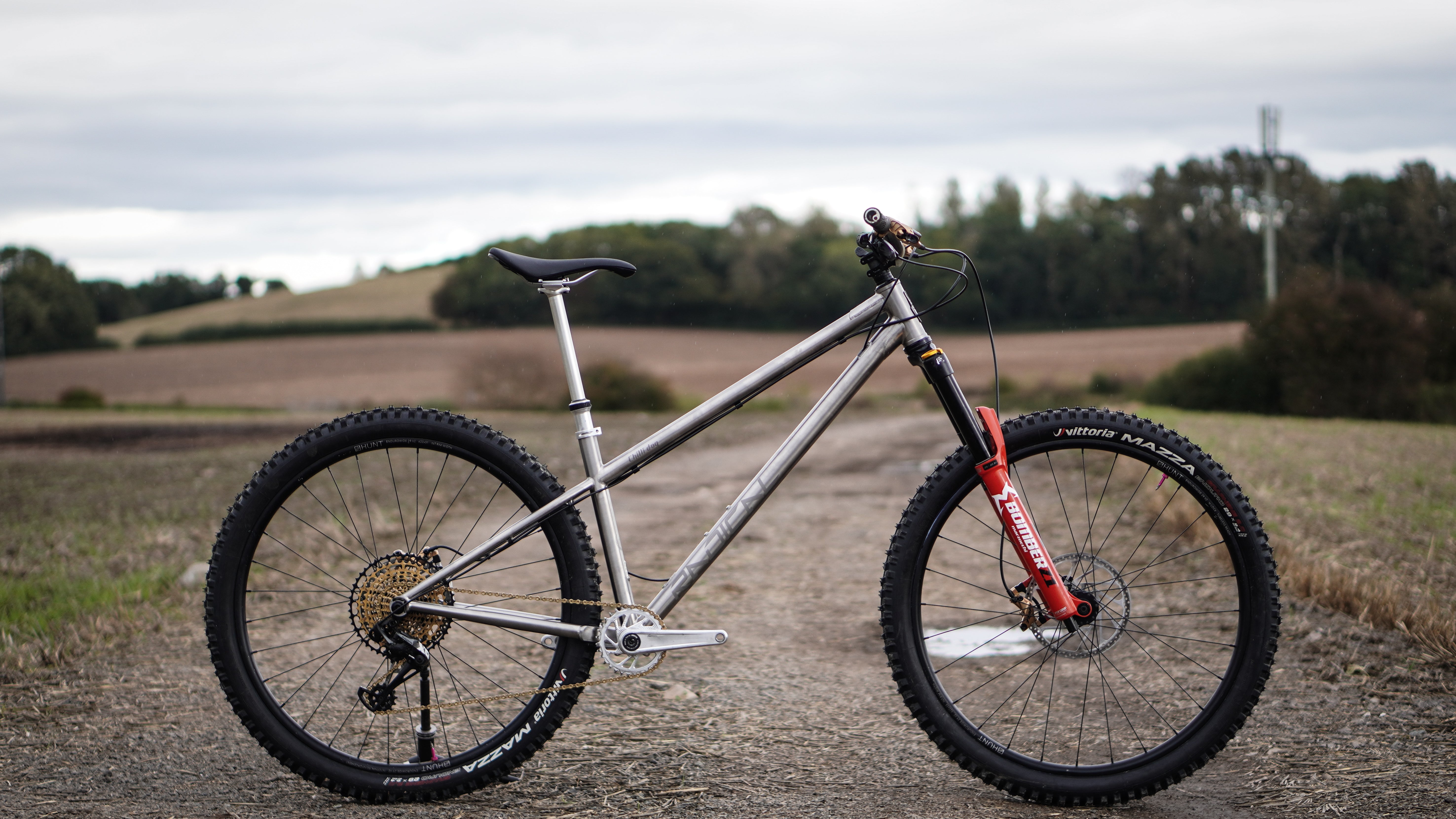 Chilli Dog Titanium Enduro Frame Only Radical Bicycle Co