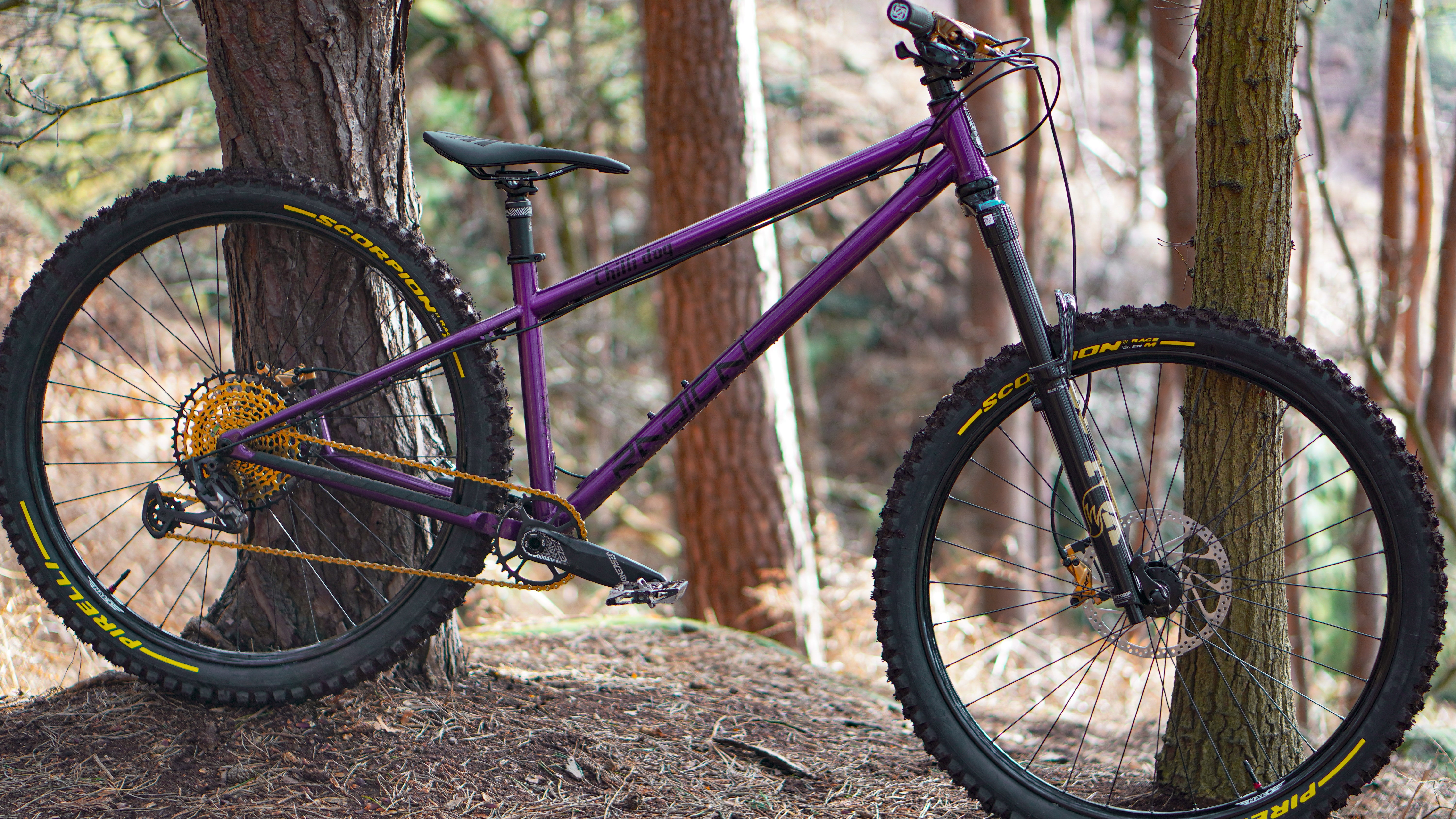 Radical Bicycle Co Chilli Dog 290 Hardcore Hardtail Frame