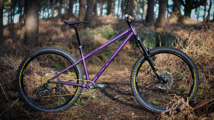 Chilli Dog (Steel) - Enduro - Frame Only