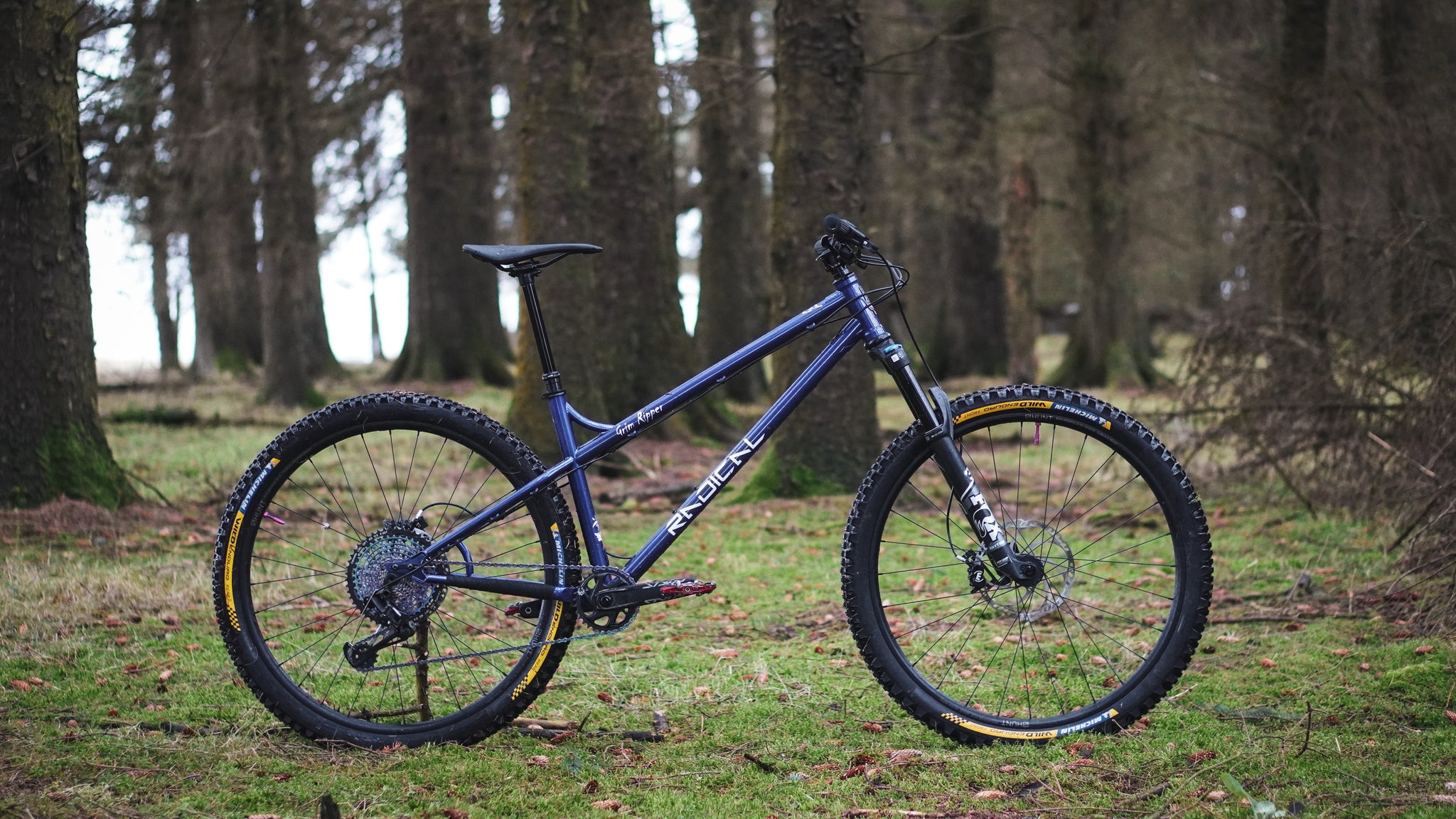 Grim Ripper (Steel) - AM - Frame Only – Radical Bicycle Co