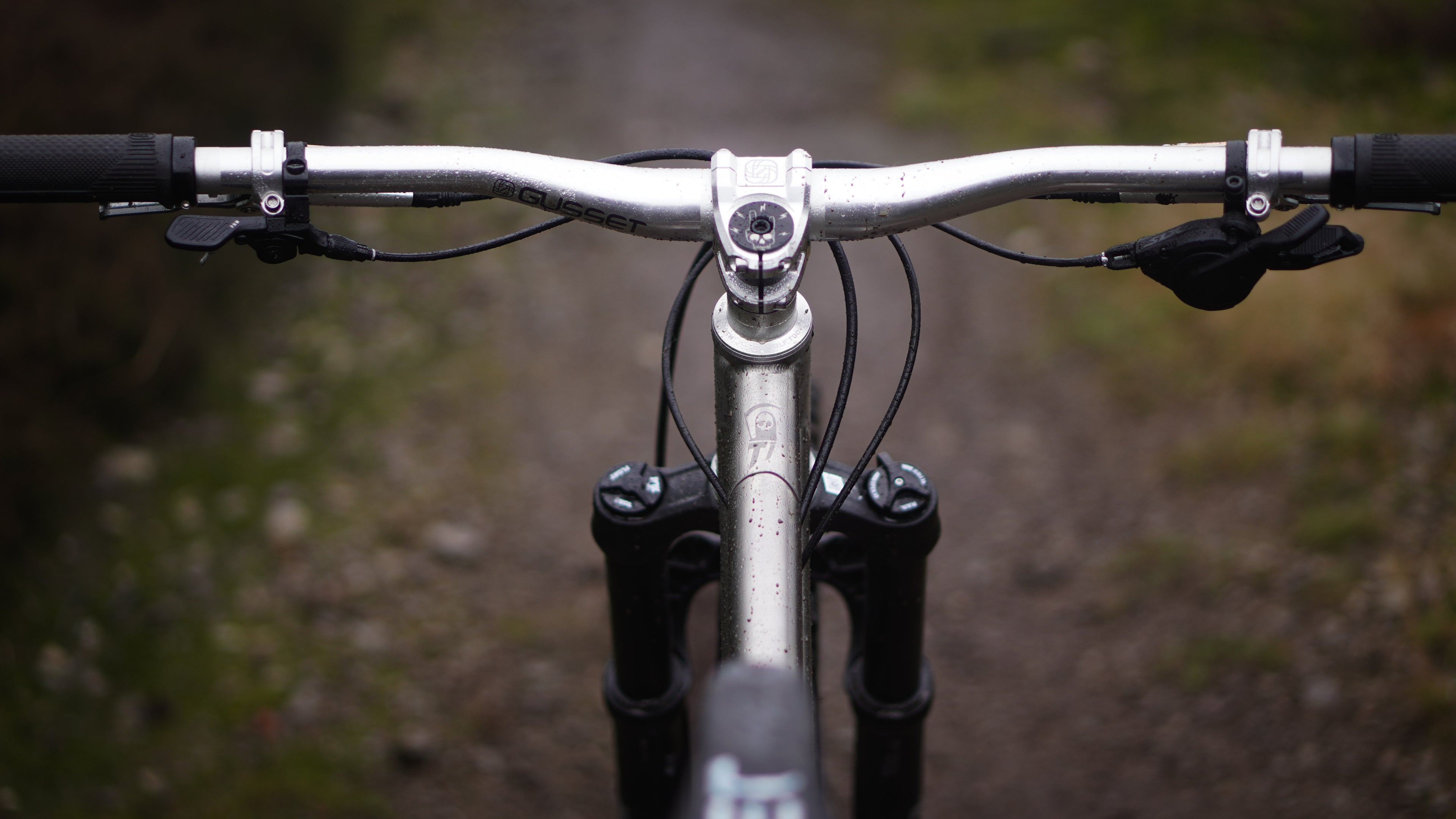 das perfekte dinner mountainbike profi Grim Ripper (Titanium)