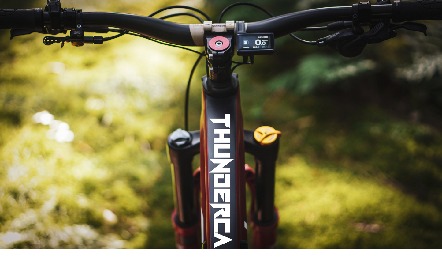 Thundercat (E-Bike) - Enduro - Frame/Motor/Battery Only