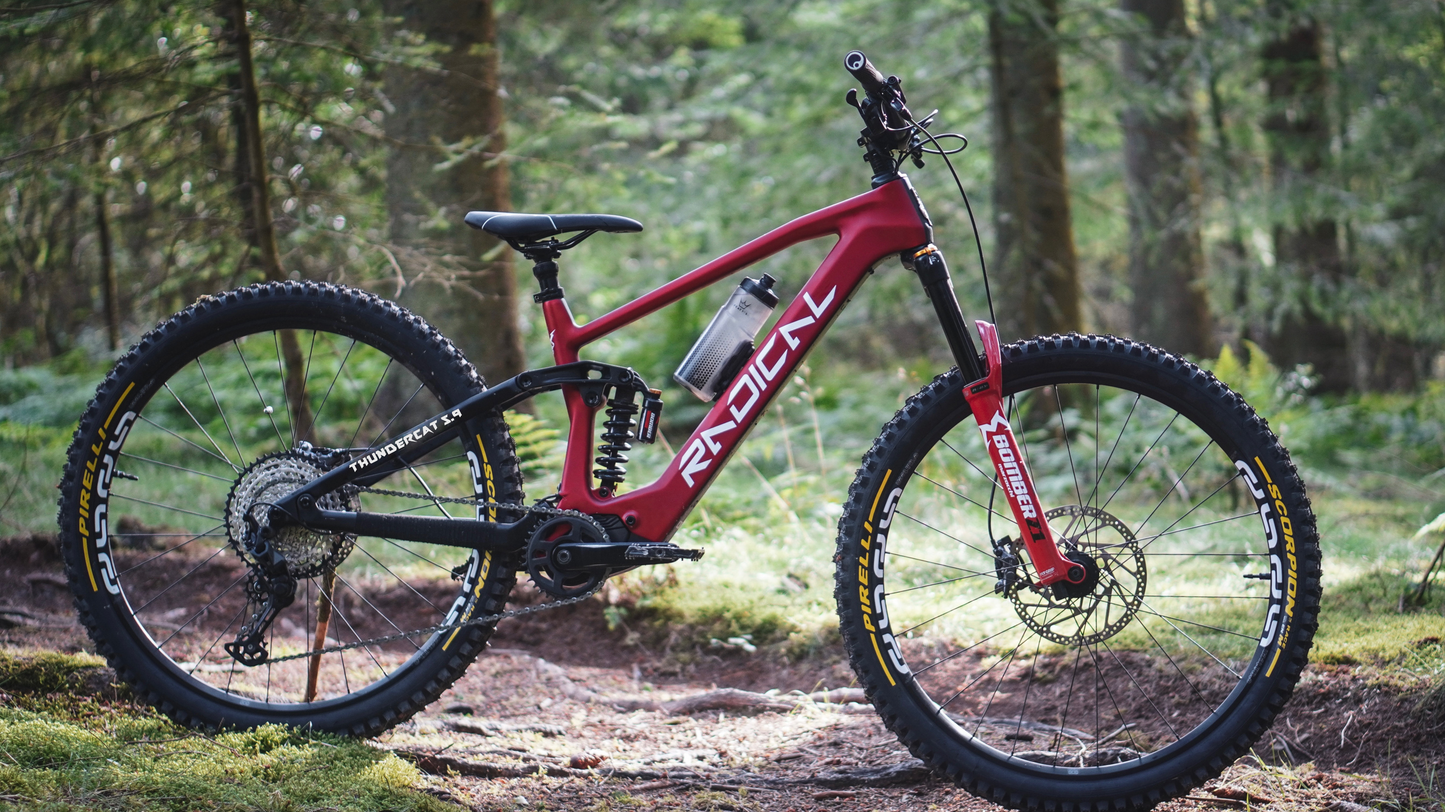 Thundercat (E-Bike) - Enduro - Frame/Motor/Battery Only