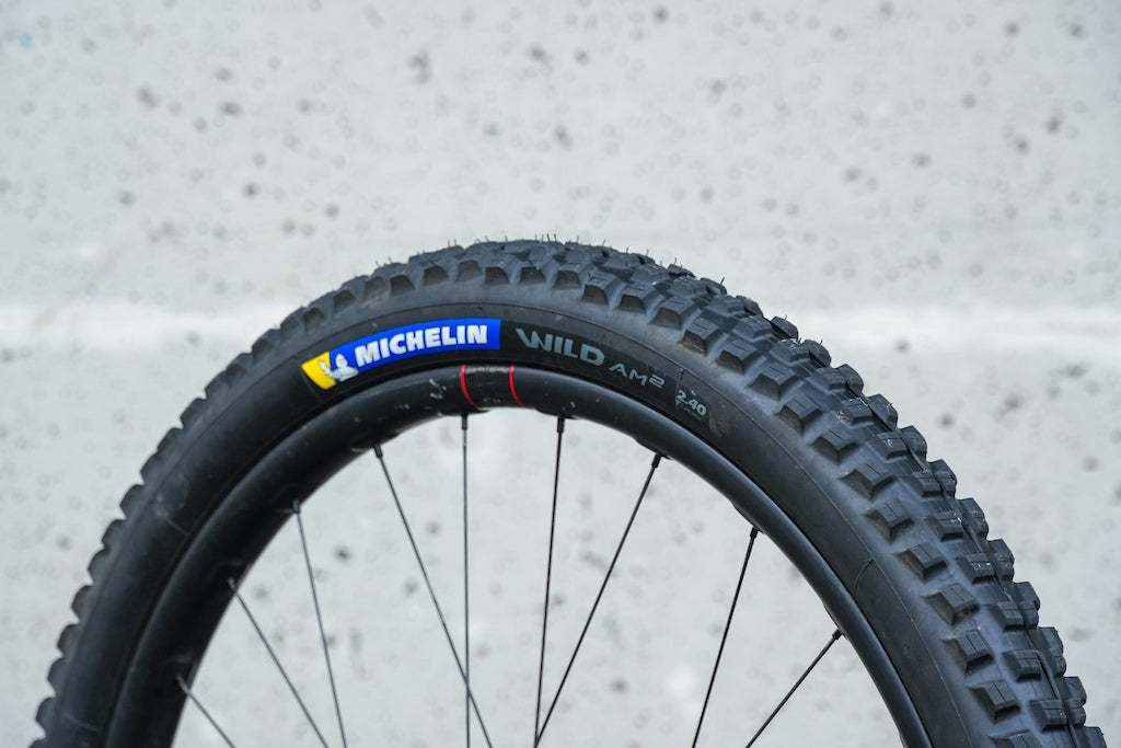 Michelin Wild AM2 29x2.4
