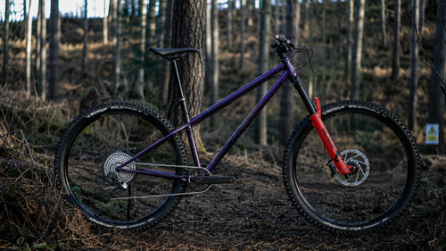 Chilli Dog (Steel) - Enduro (Complete Bike)