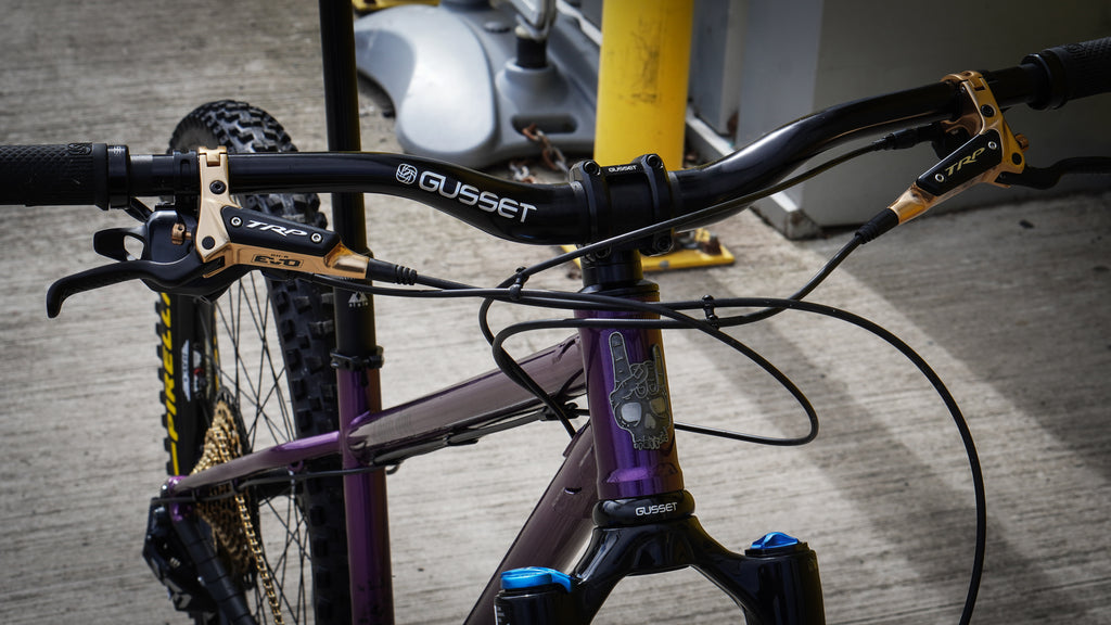 Chilli Dog 4130 - Ex Demo (Full Bike)