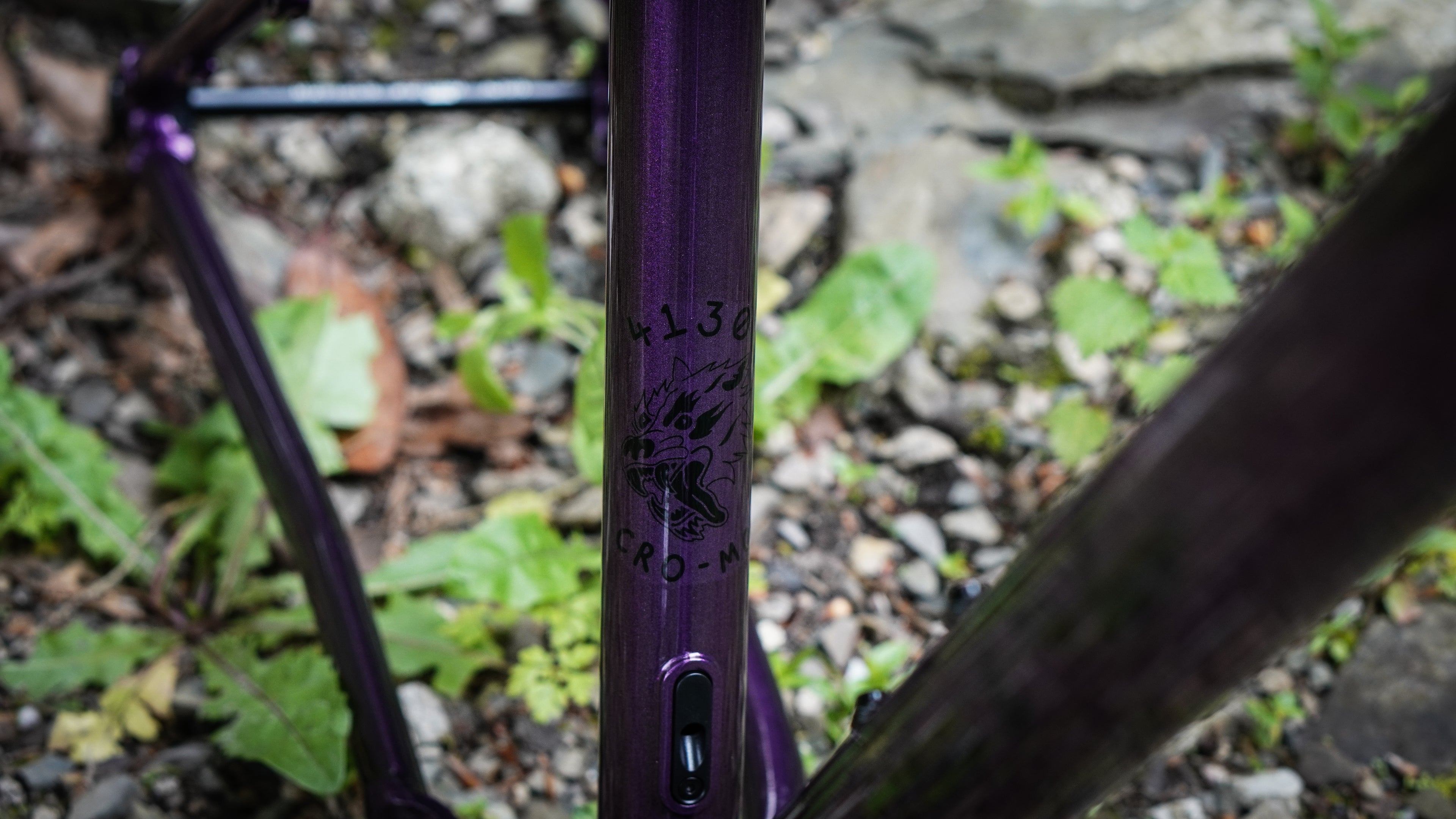 Chilli Dog (Steel) - Enduro